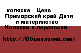 коляска › Цена ­ 2 500 - Приморский край Дети и материнство » Коляски и переноски   